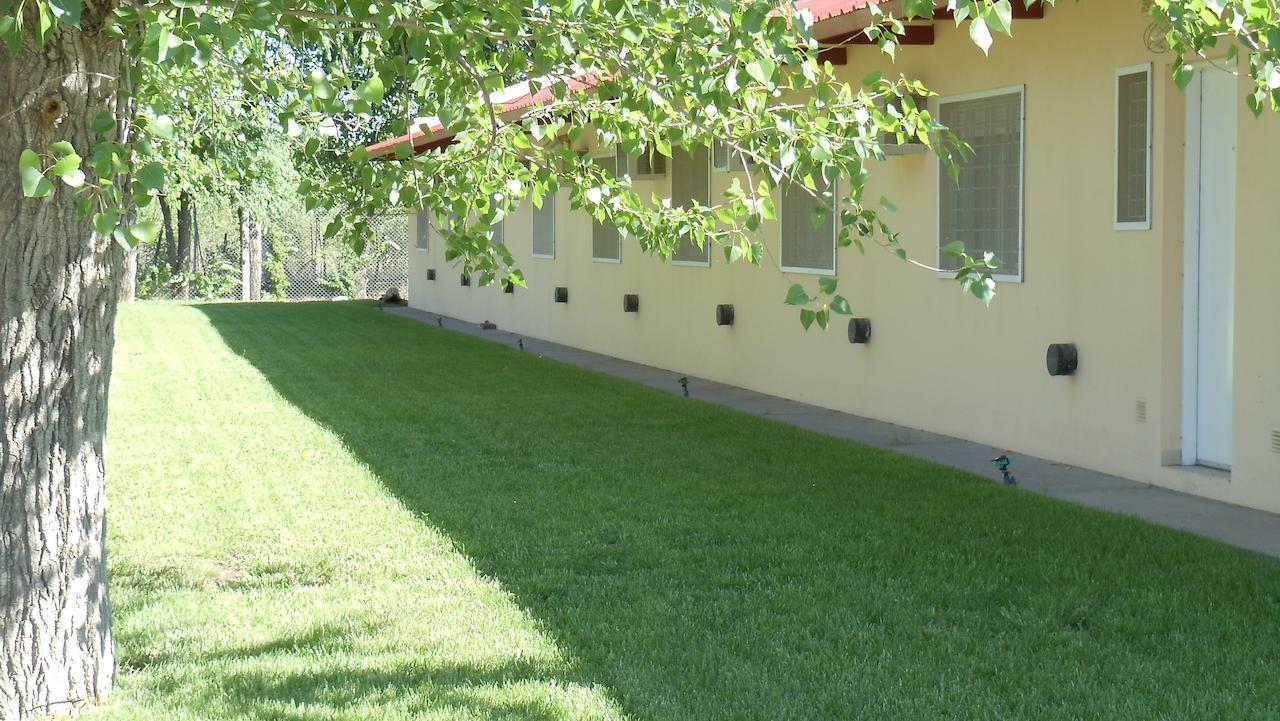 Hotel Quelu Leufu Río Colorado Kamer foto